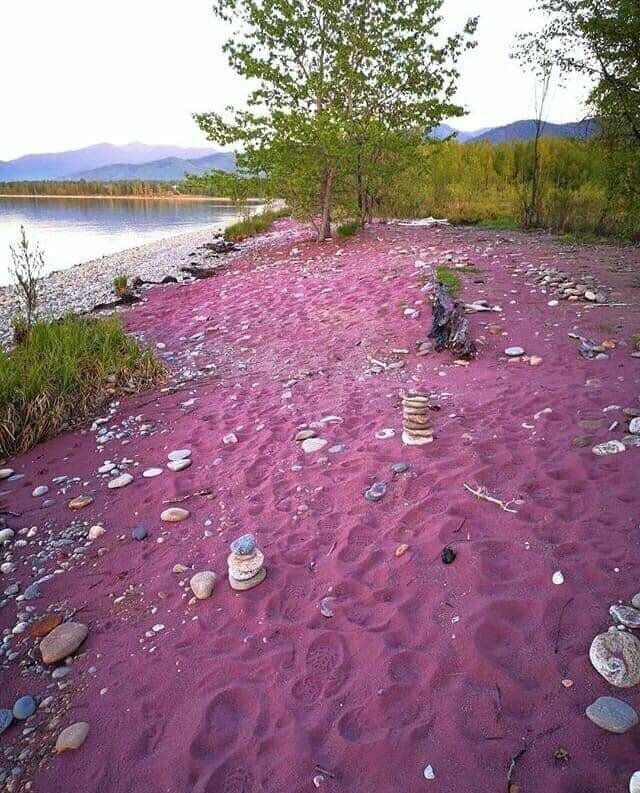 Гостиница Береза Байкальск-7